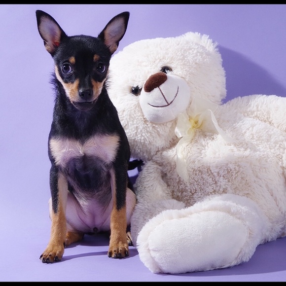 Meet your Posher, Catryna - Picture 10 of 11